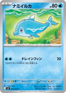 ナミイルカ