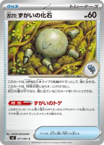 古びたずがいの化石