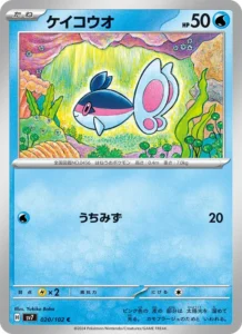 ケイコウオ