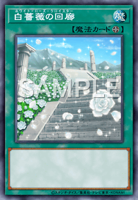 白薔薇の回廊