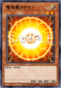電極獣カチオン