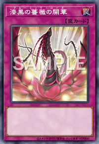 漆黒の薔薇の開華