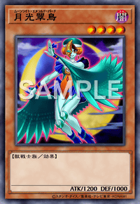 月光翠鳥