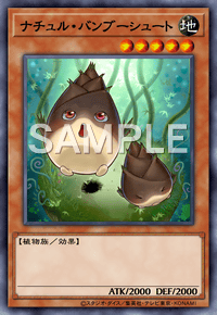 ナチュル・バンブーシュート