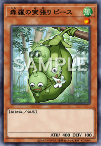 森羅の実張り ピース