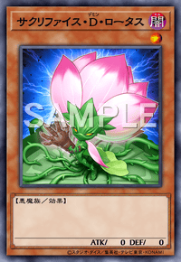 サクリファイス・D・ロータス