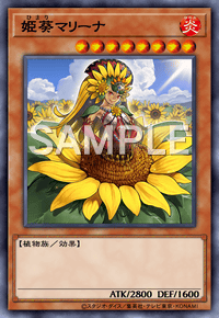 姫葵マリーナ