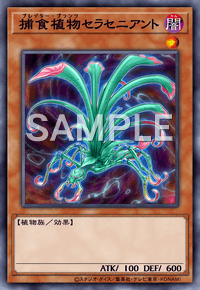 捕食植物セラセニアント
