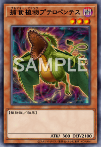 捕食植物プテロペンテス