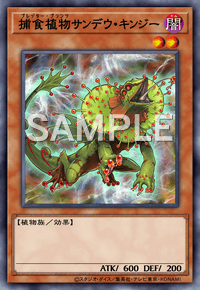 捕食植物サンデウ・キンジー