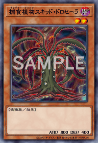 捕食植物スキッド・ドロセーラ