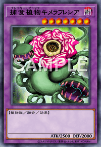 捕食植物キメラフレシア