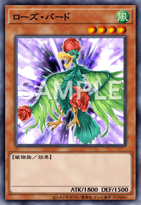 ローズ・バード