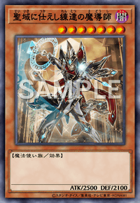 聖域に仕えし練達の魔導師