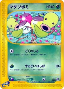 マダツボミ