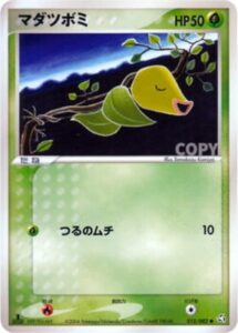 マダツボミ