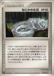 なにかの化石