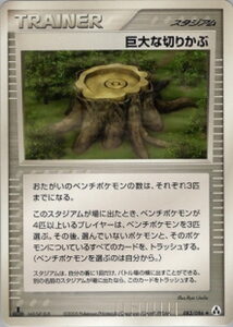 巨大な切りかぶ