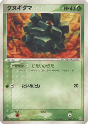 クヌギダマ