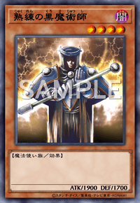 熟練の黒魔術師