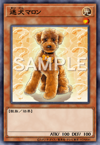 迷犬マロン