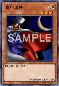 白い泥棒