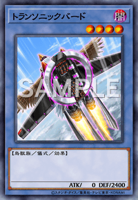 トランソニックバード