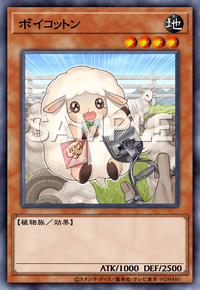 ボイコットン
