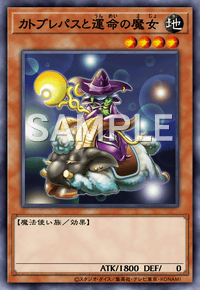 カトブレパスと運命の魔女